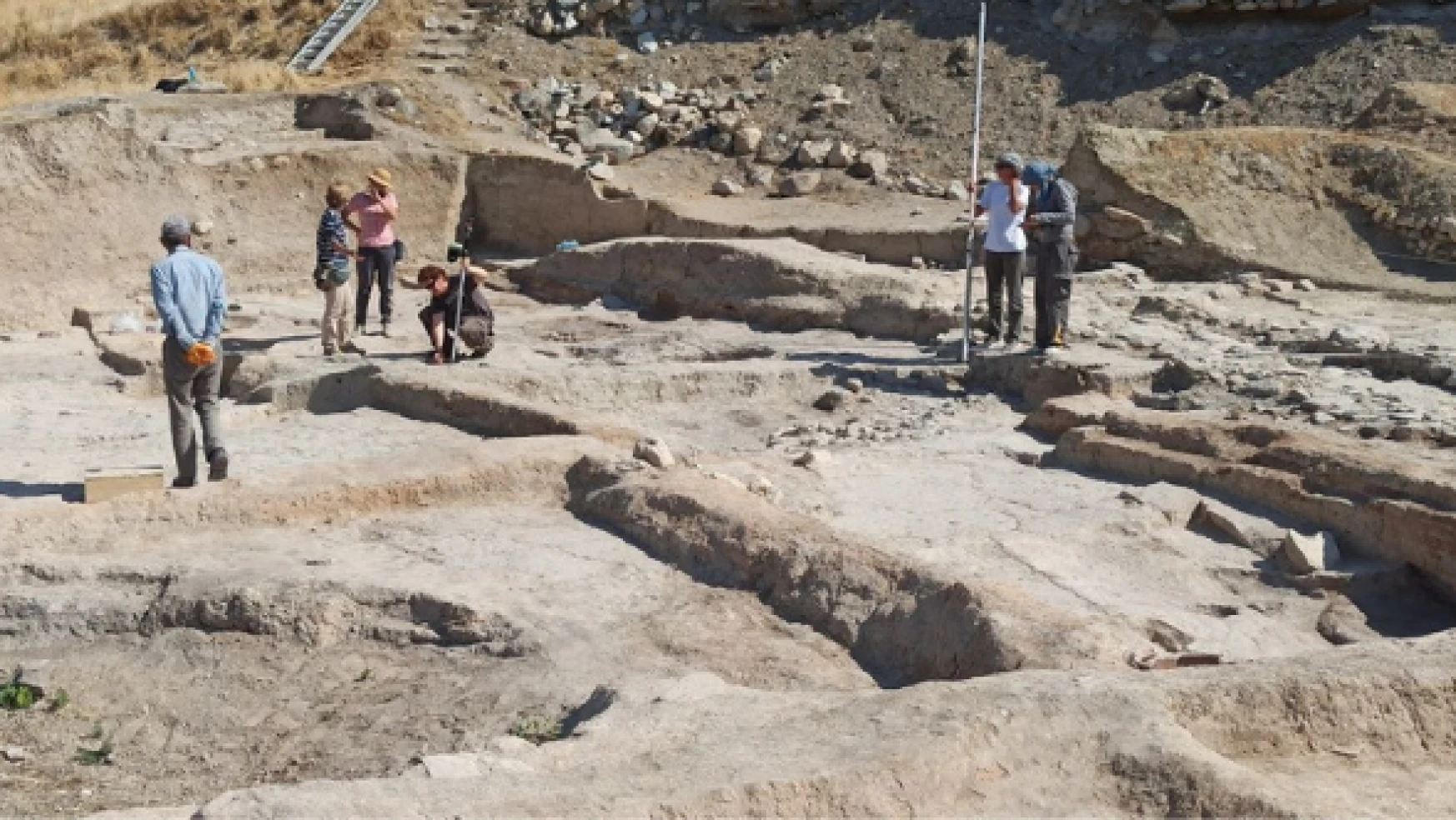 Arslantepe Höyüğü'nde 5 bin yıllık tohum bulundu