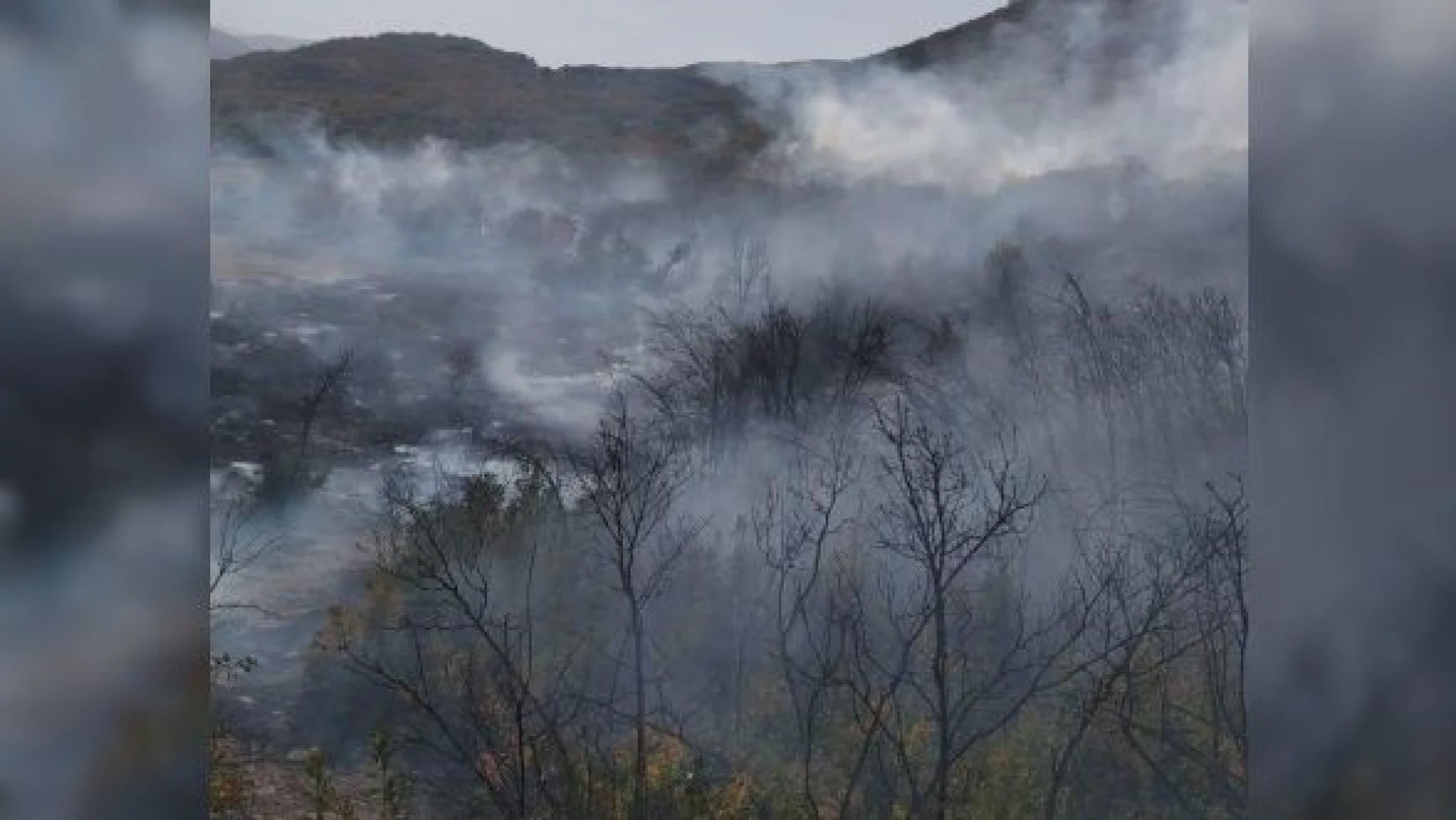 Bingöl'de iki noktada orman yangını çıktı