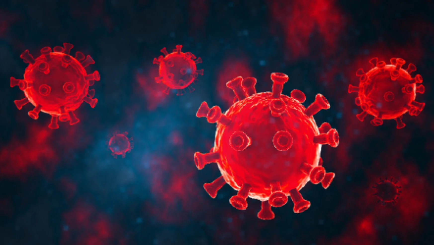 Eşi benzeri görülmeyen koronavirüs vakası korkuttu