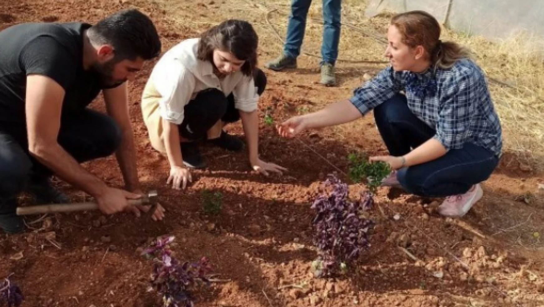 Öğrenciler organik tarıma başladı