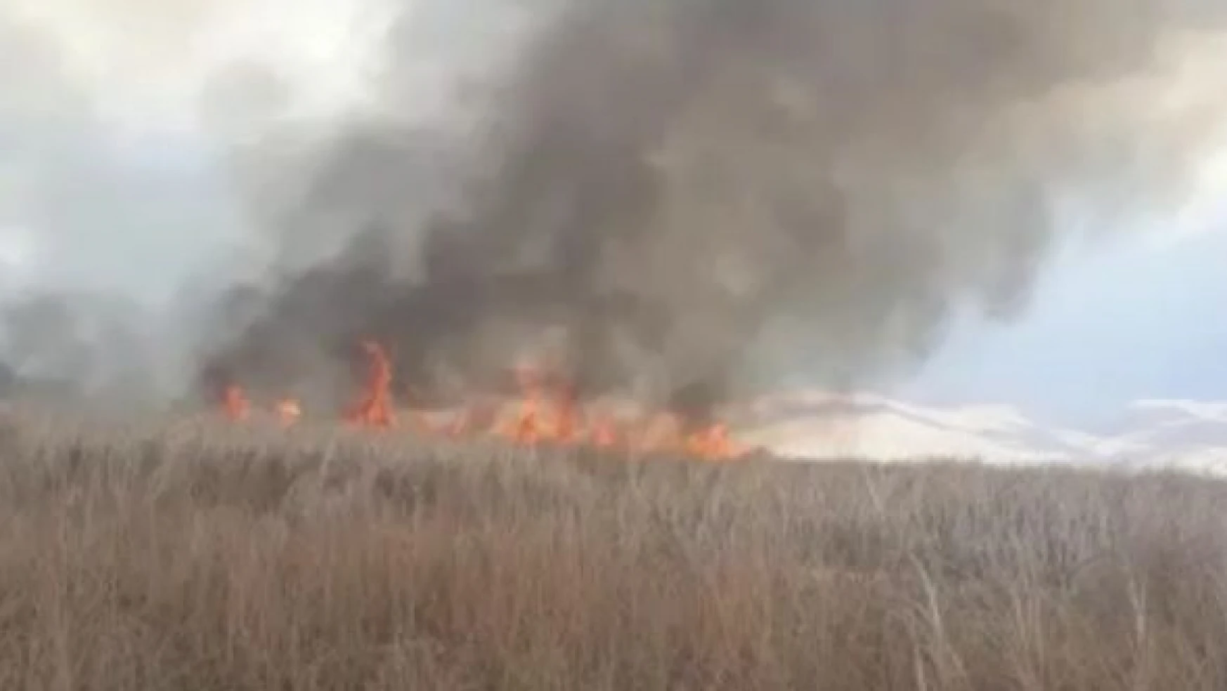 Yüksekova'daki Nehil Sazlığı alev alev yanıyor