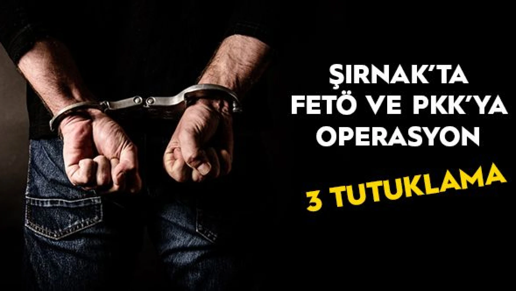 FETÖ ve PKK'ya yönelik operasyon: 3 kişi tutuklandı