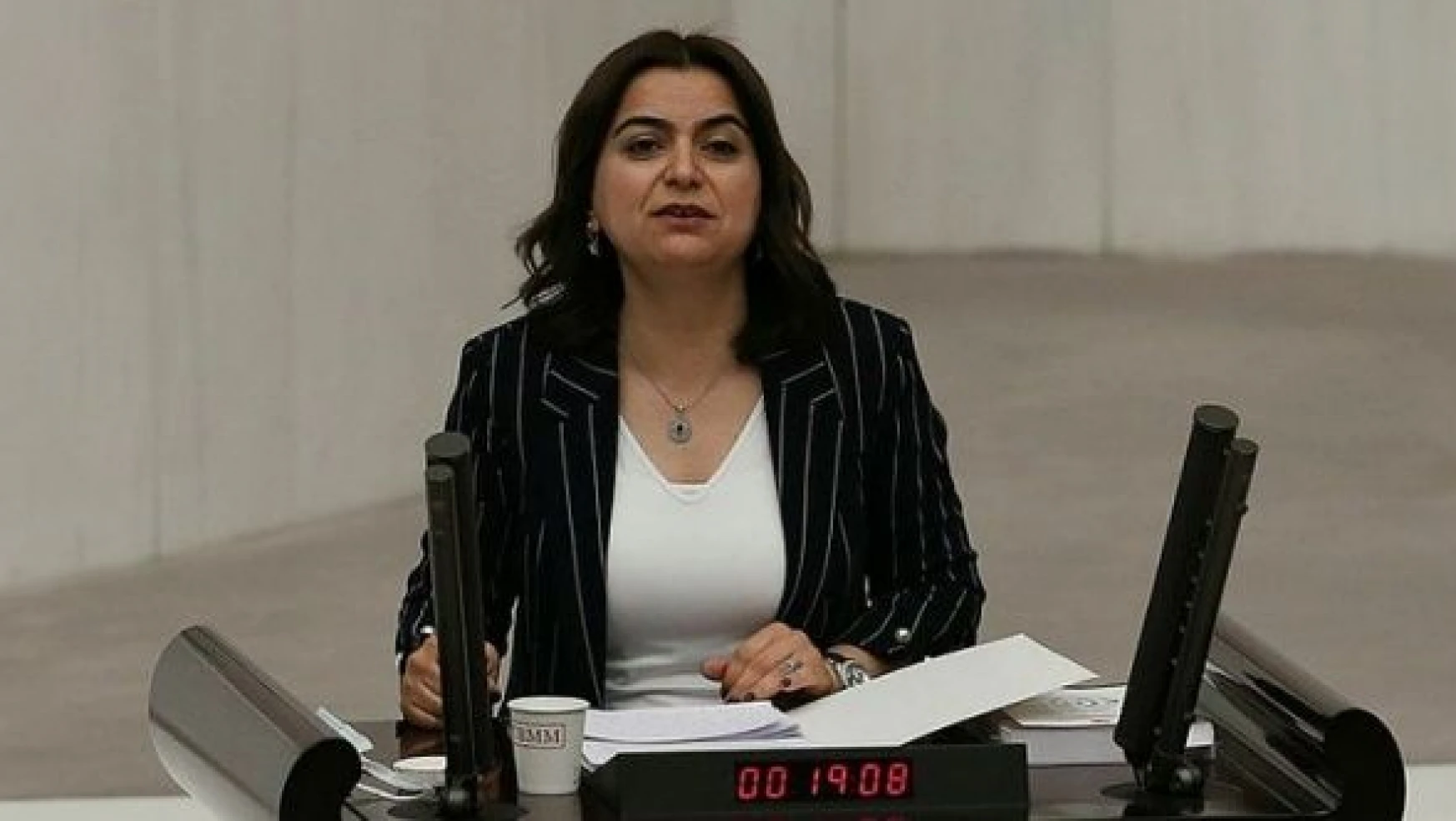 Mecliste HDP'li milletvekilinin 'işgalci' sözlerine tepki