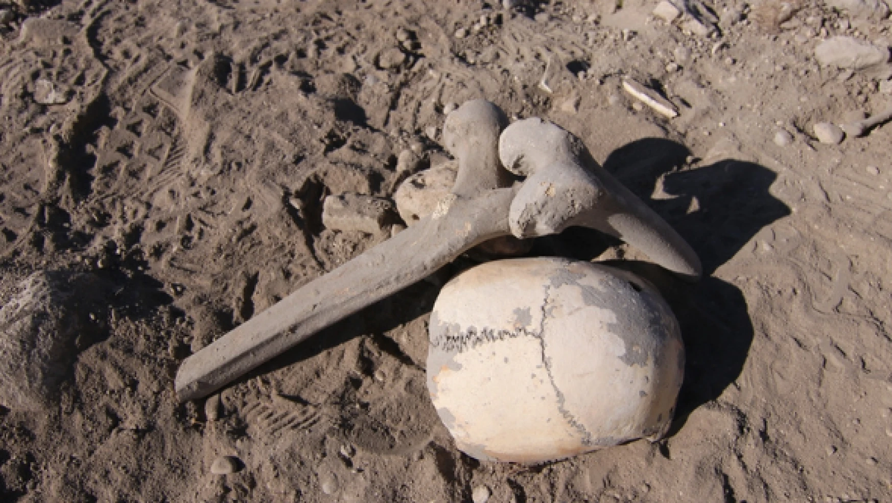 Van'da Demir Çağı'na ait kalıntılar bulundu