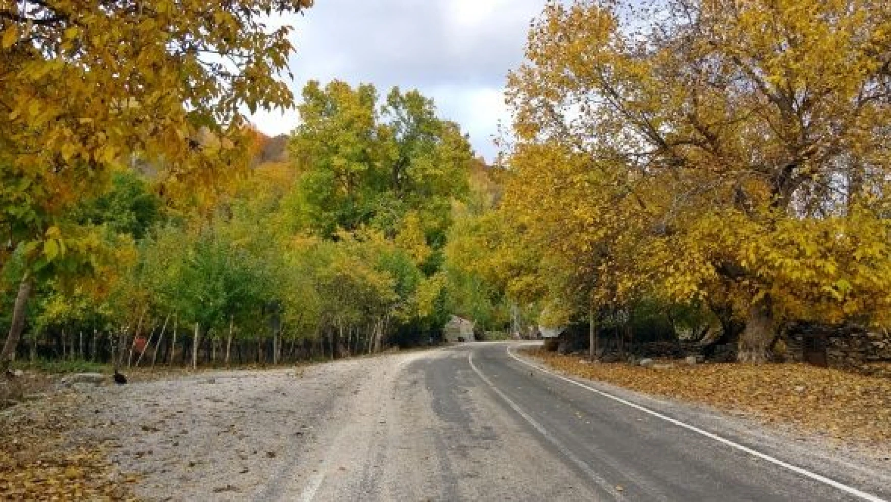 Yüksekova'da sonbahar güzelliği