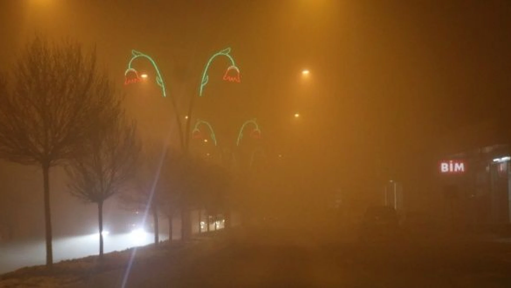 Ağrı'da yoğun sis ulaşımı aksatıyor