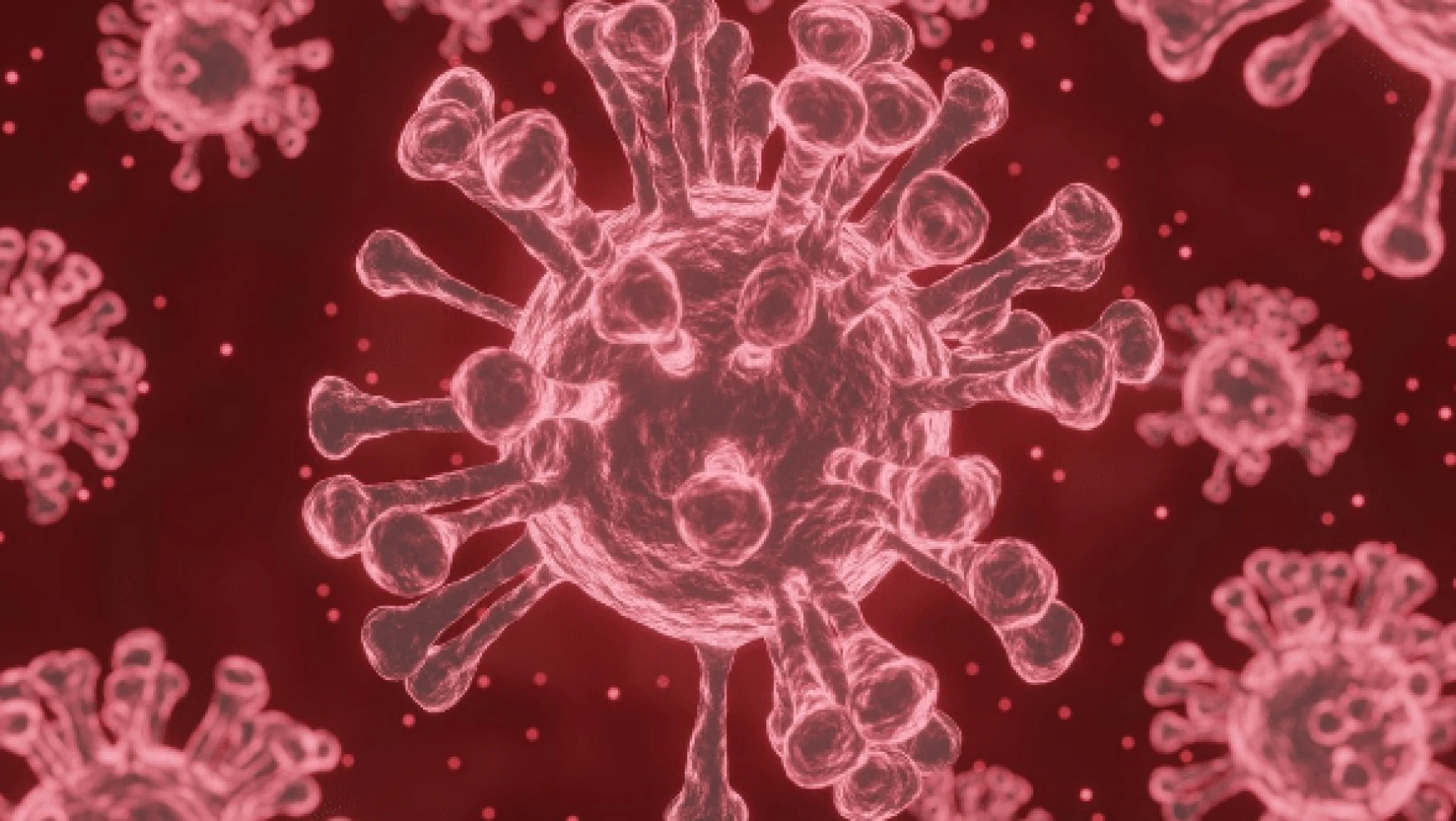 Danimarkalı bilim insanı : " Omikron pandemiyi sona erdirdi"