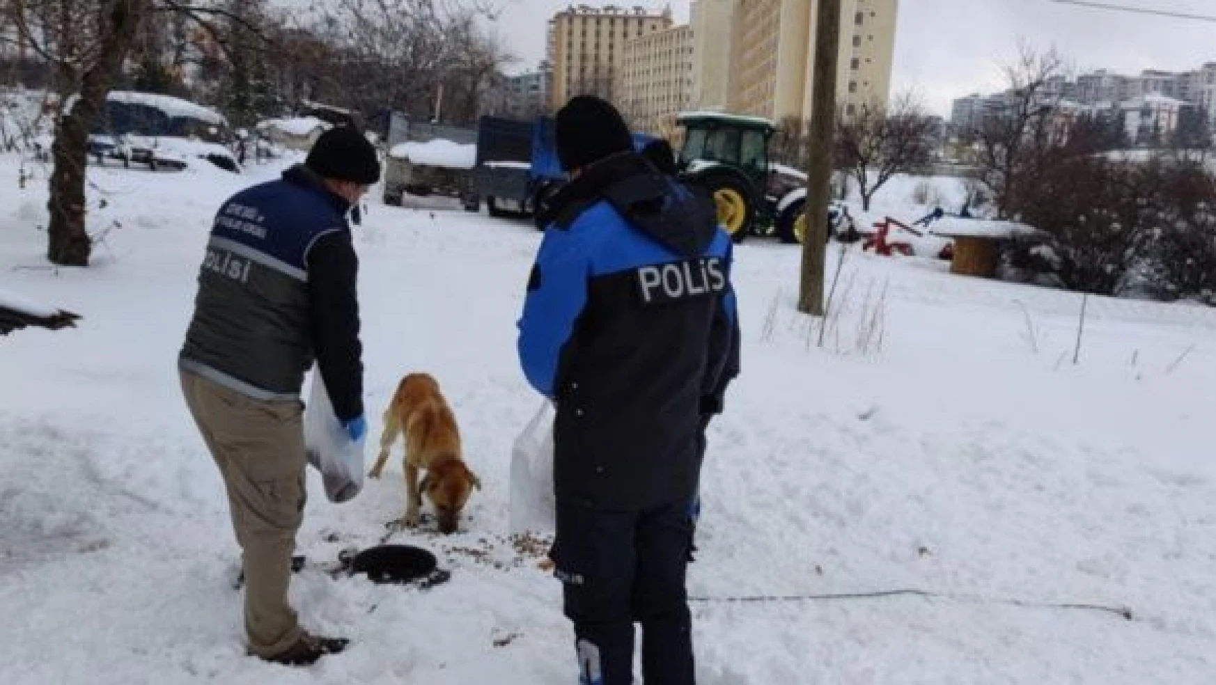 Elazığ'da polis ekipleri sokak hayvanlarını unutmadı