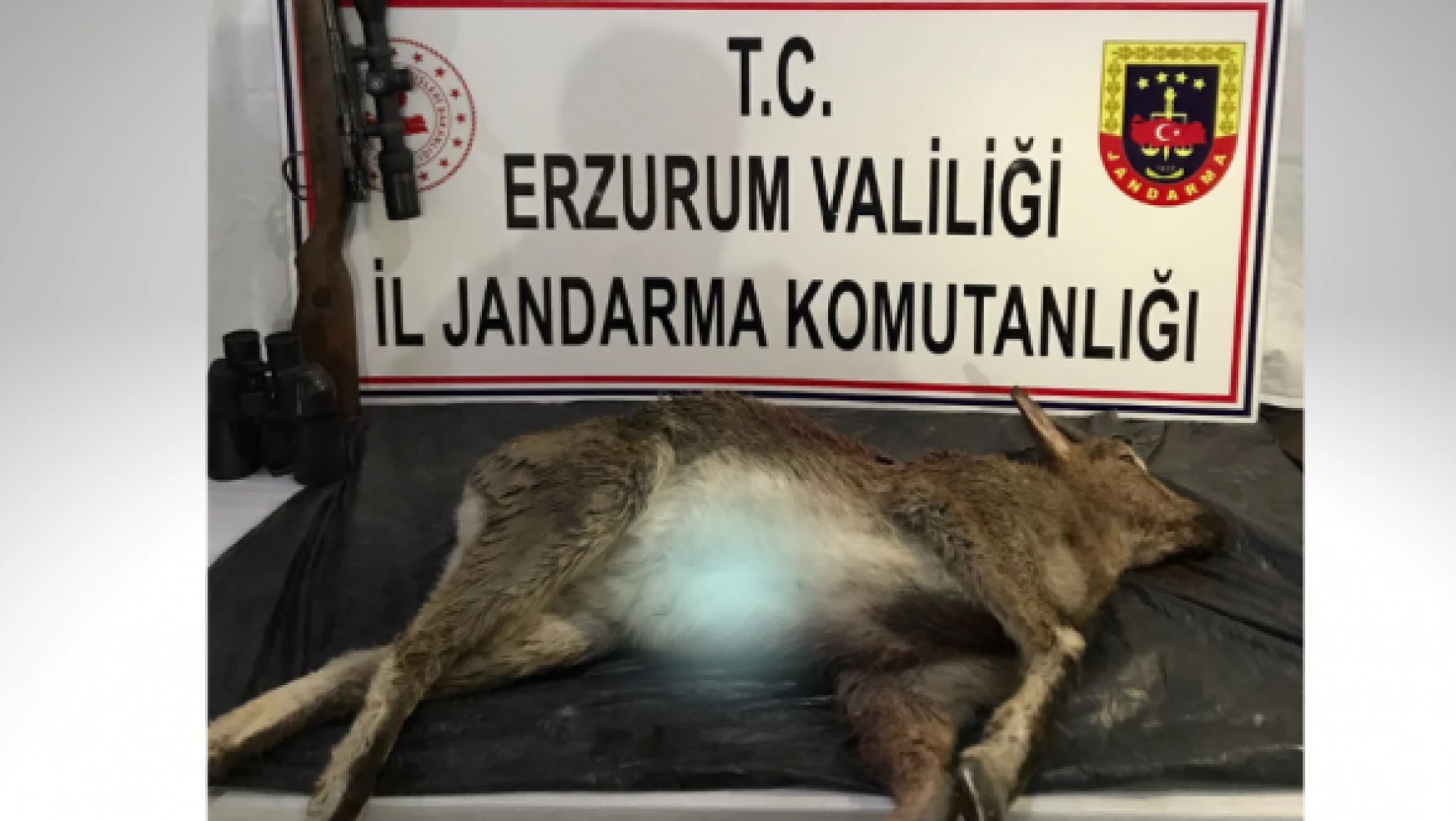 Erzurum'da kaçak avlanmaya geçit verilmiyor!