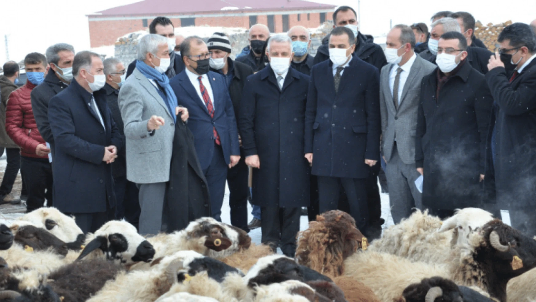 Kars'ta hayvancılık faaliyetleri teşvik ediliyor