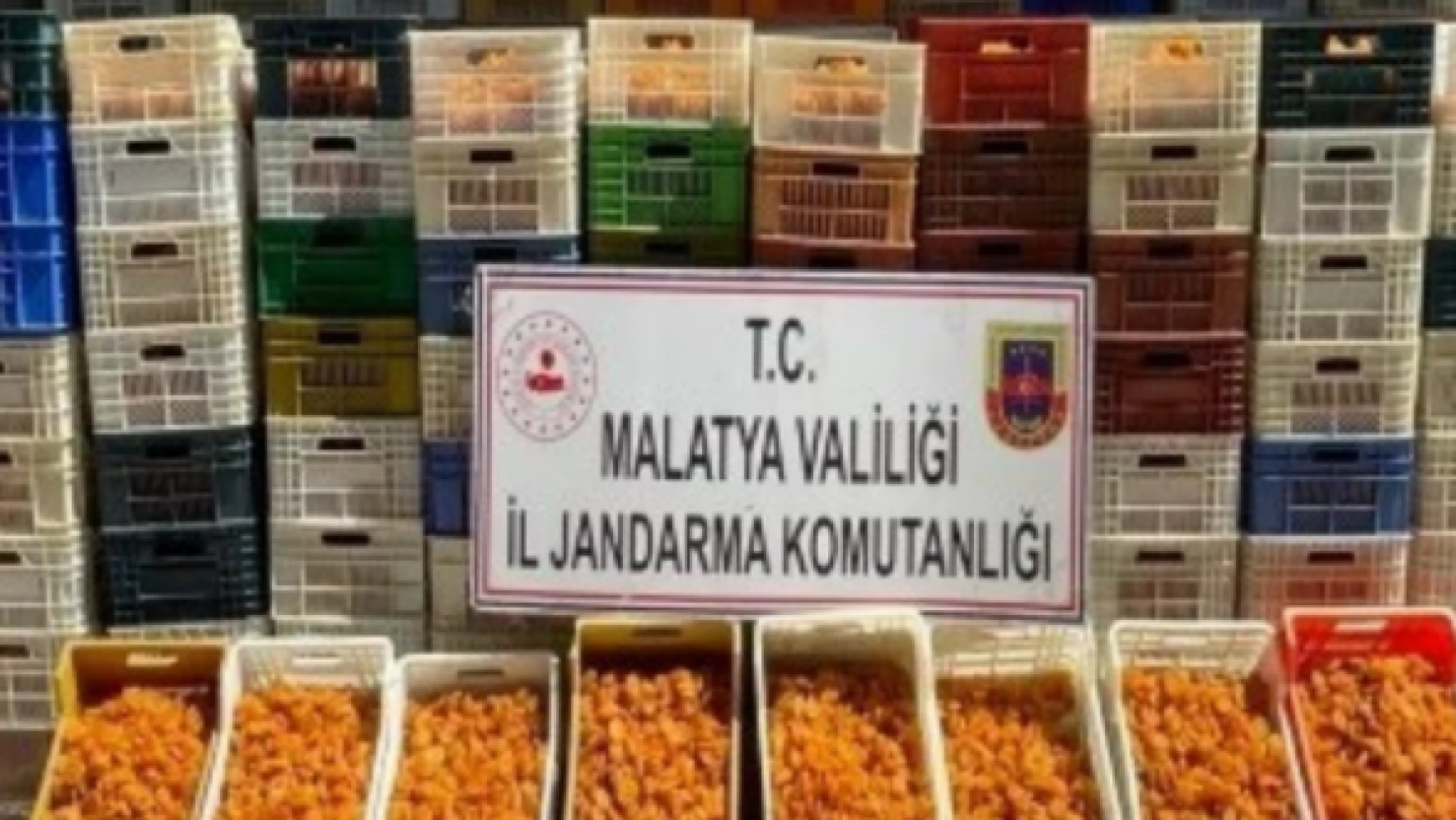 Malatya'da bir yılda 315 şahıs adli makamlara sevk edildi