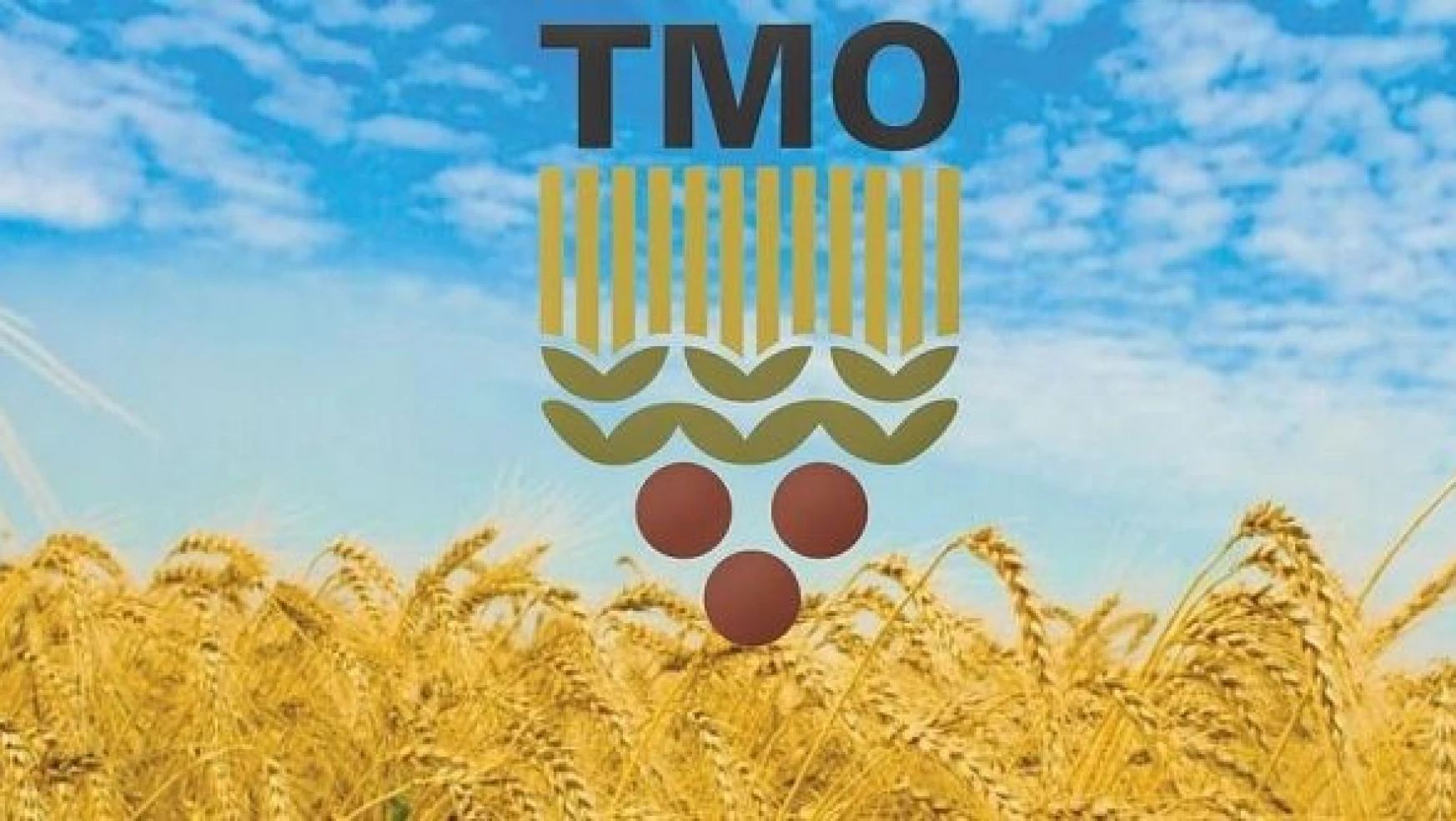 TMO buğday ve arpa satışlarına başladı