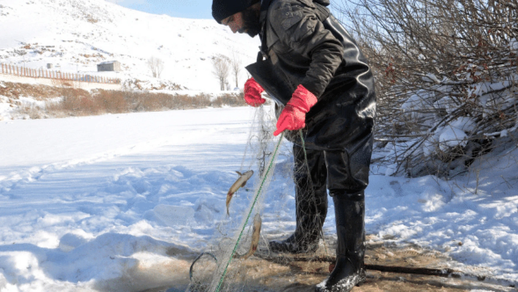 Yüksekova'da 'Eskimo usulü' balık avı