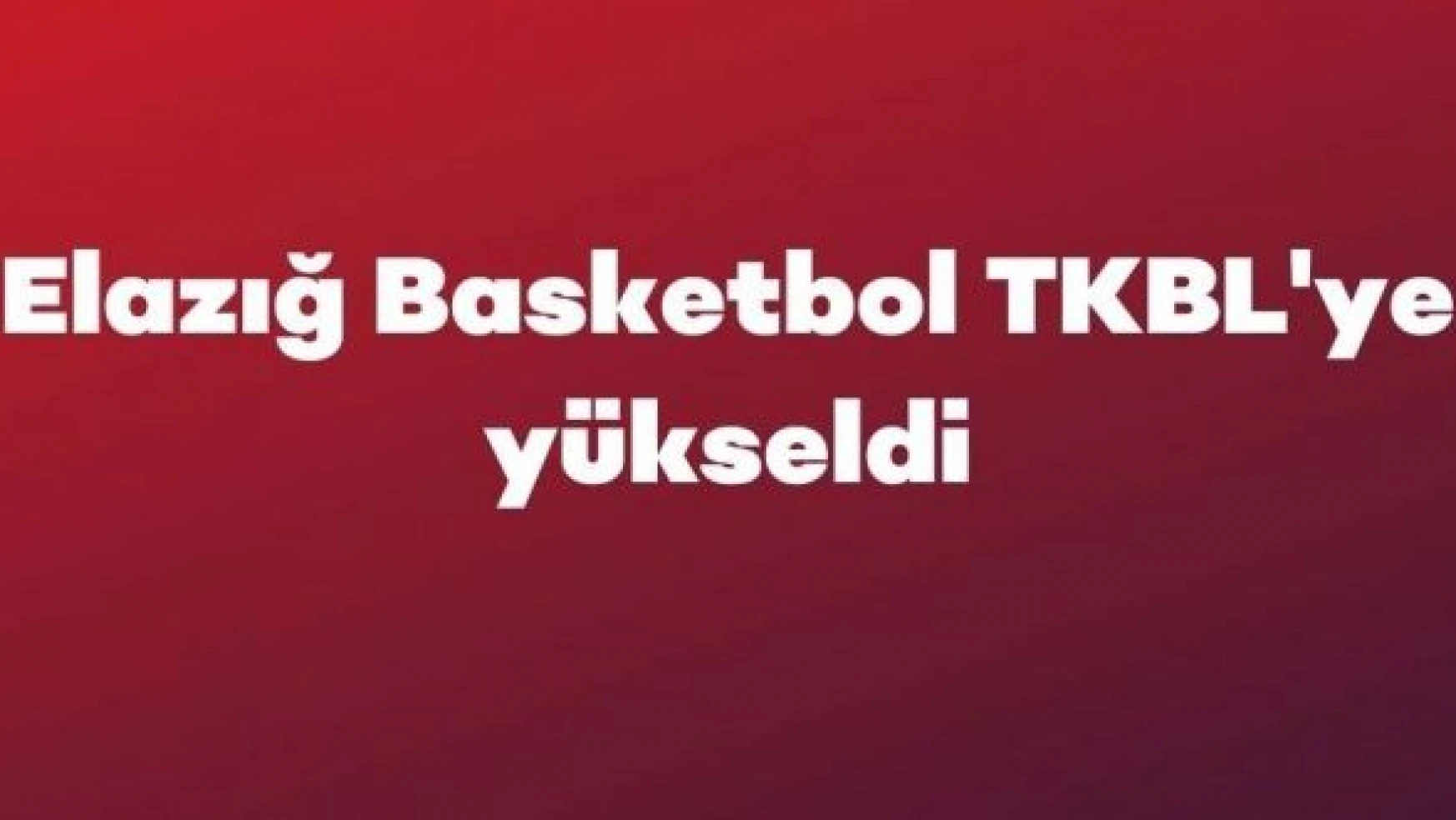 Elazığ Basketbol Kulübü TKBL'ye yükseldi