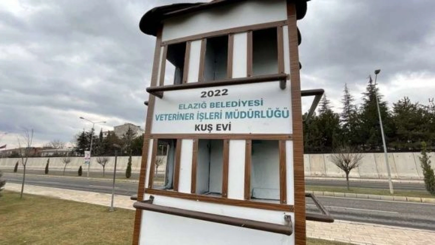 Elazığ Belediyesi'nin inşaa ettiği 'dubleks kuş evleri' beğeni topluyor