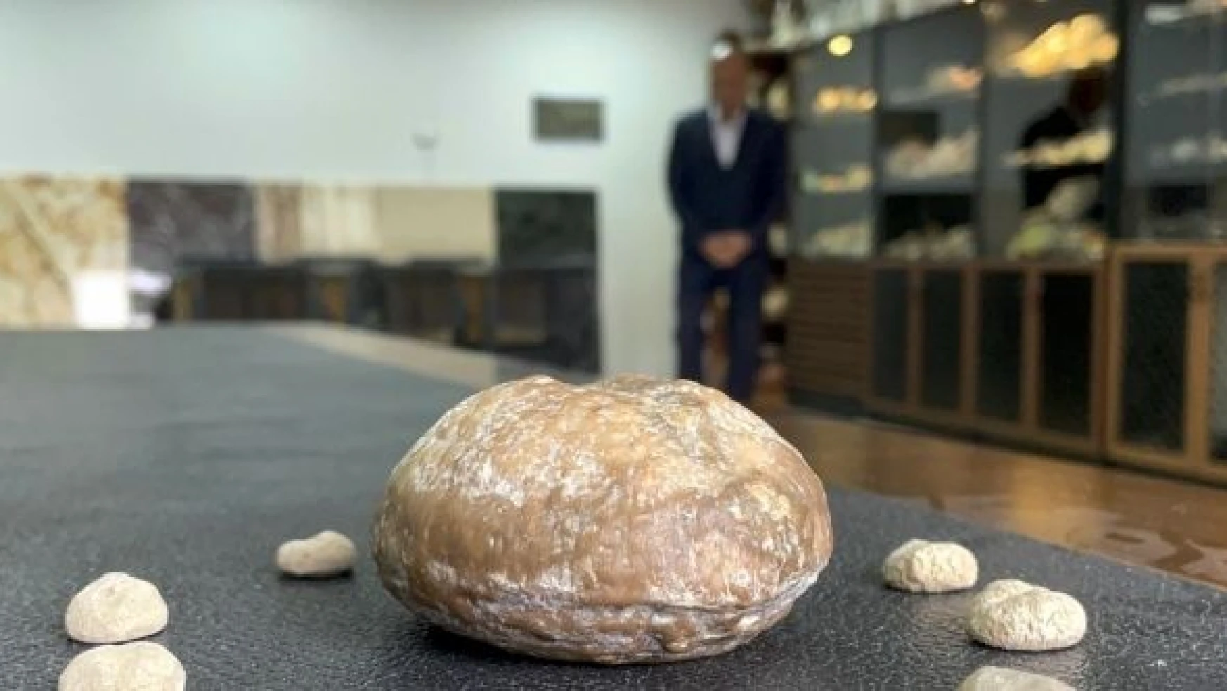 Elazığlı mühendis  'milyon yıllık' fosili iş yerinde sergiliyor