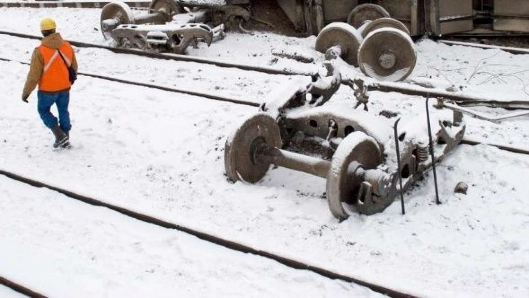 Kars'ta bozayı trenin altında kaldı!