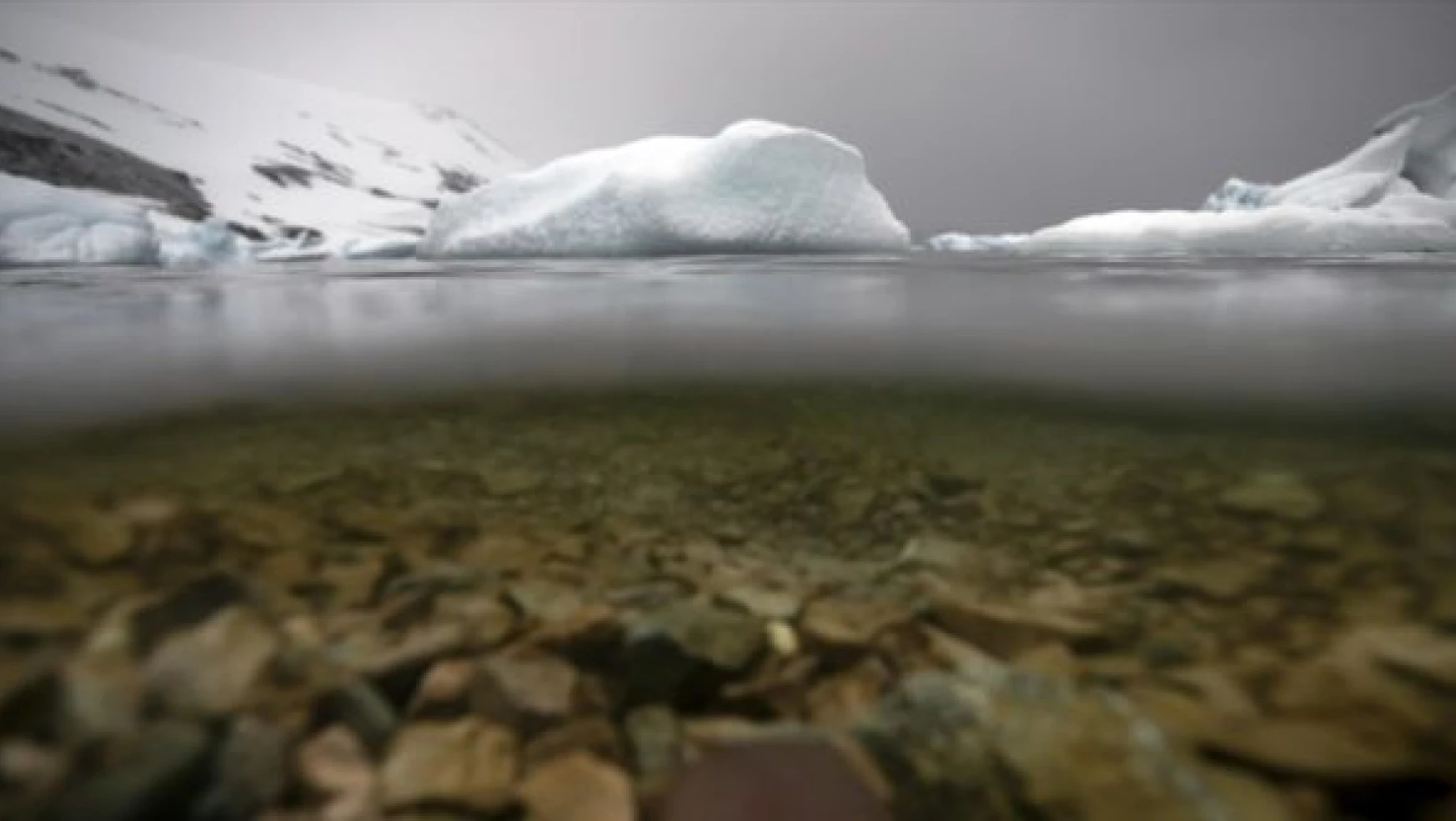 Antarktika'dan kötü haber geldi: buzlar hızla eriyor