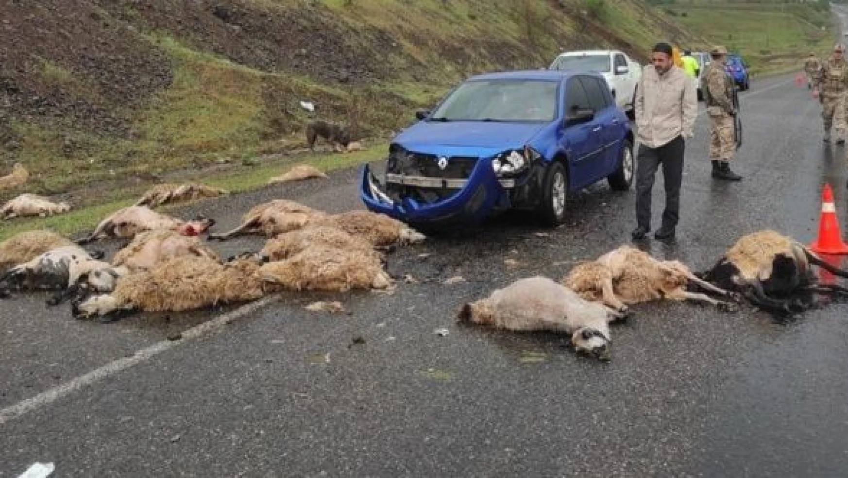 Bingöl'de feci kaza : 20 koyun telef oldu!