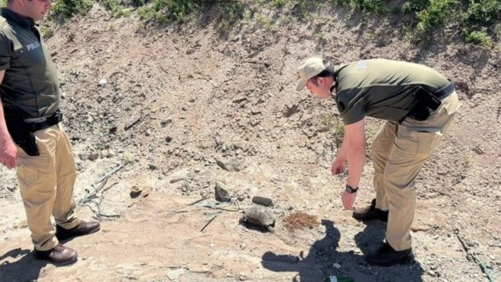 Elazığ'da bir  polis kaplumbağanın yardıma koştu!