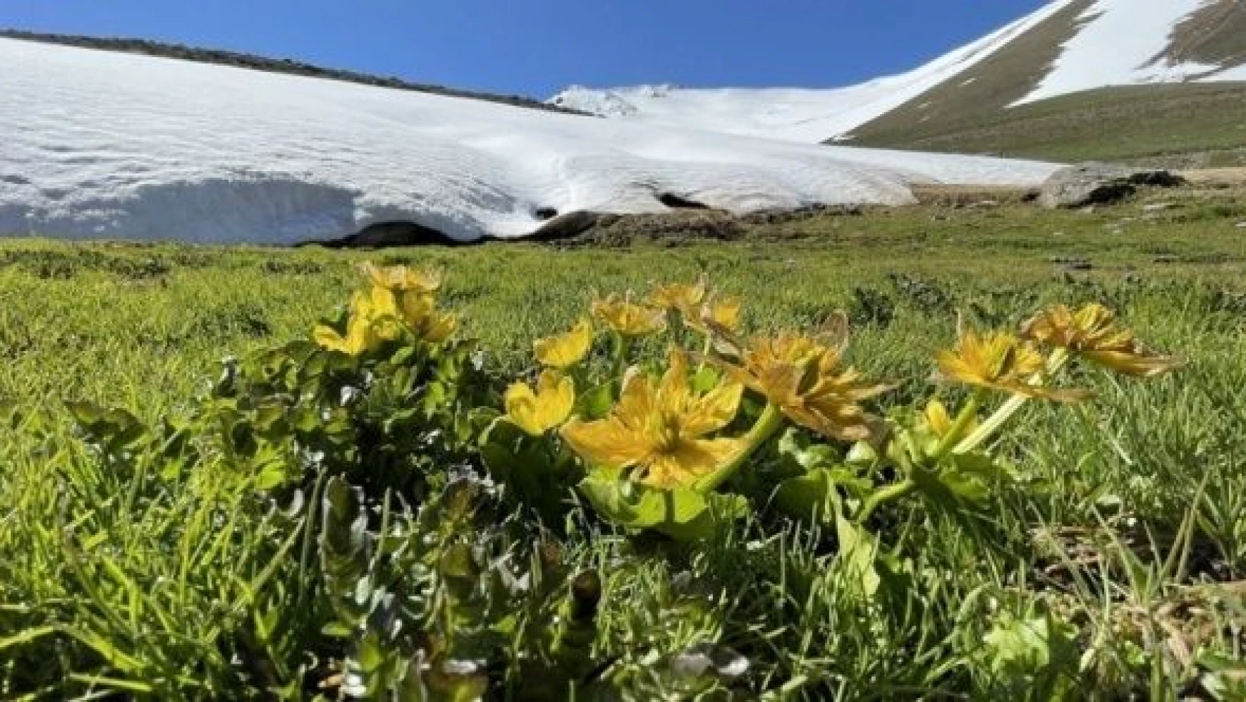 Erzurum dağlarında kar, ovasında bahar var