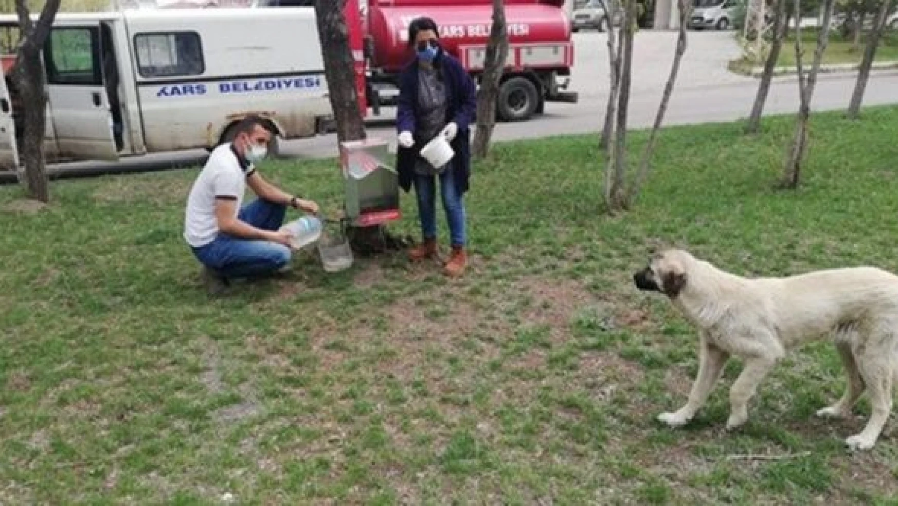 Kars Belediyesi bayram tatilinde sokak hayvanlarını unutmadı