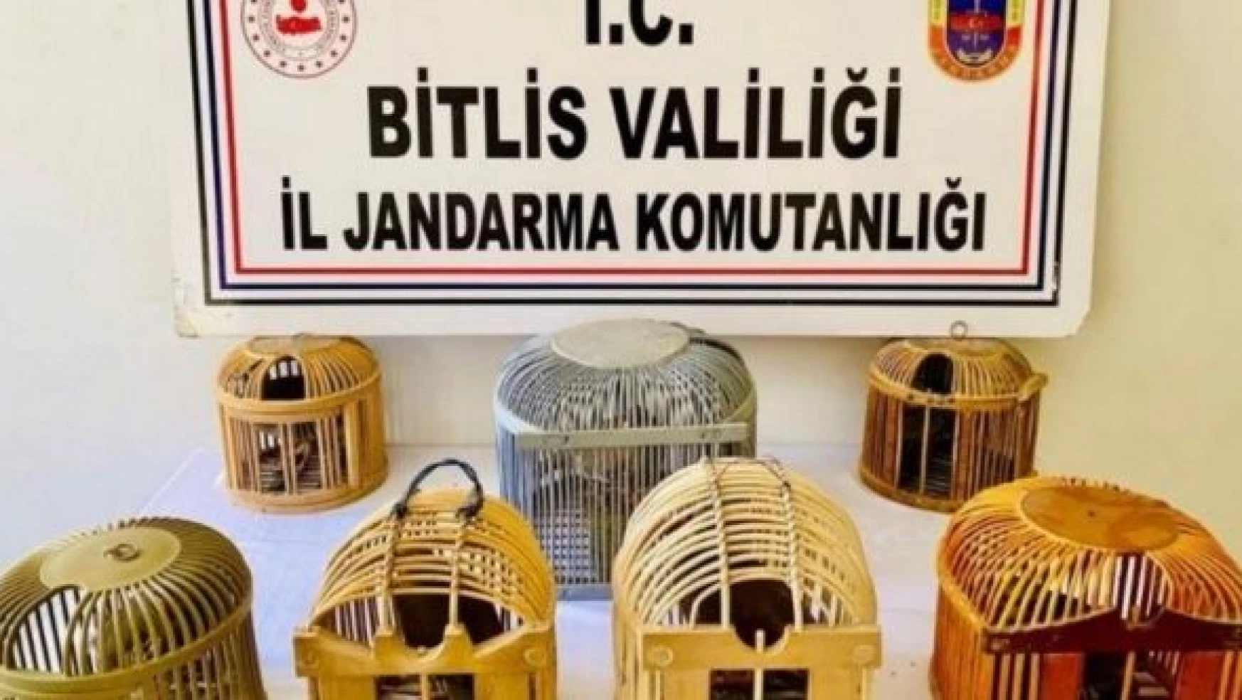 Bitlis'te kaçak keklik avcılığına rekor ceza!