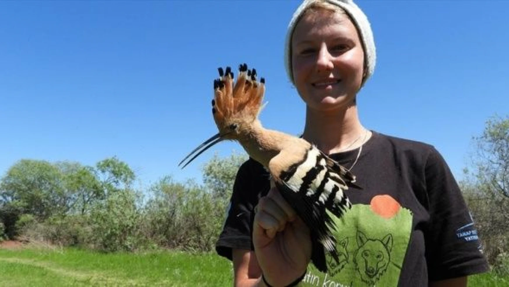İbibikler Aras Kuş Cenneti'nin ekosistemine fayda sağlıyor