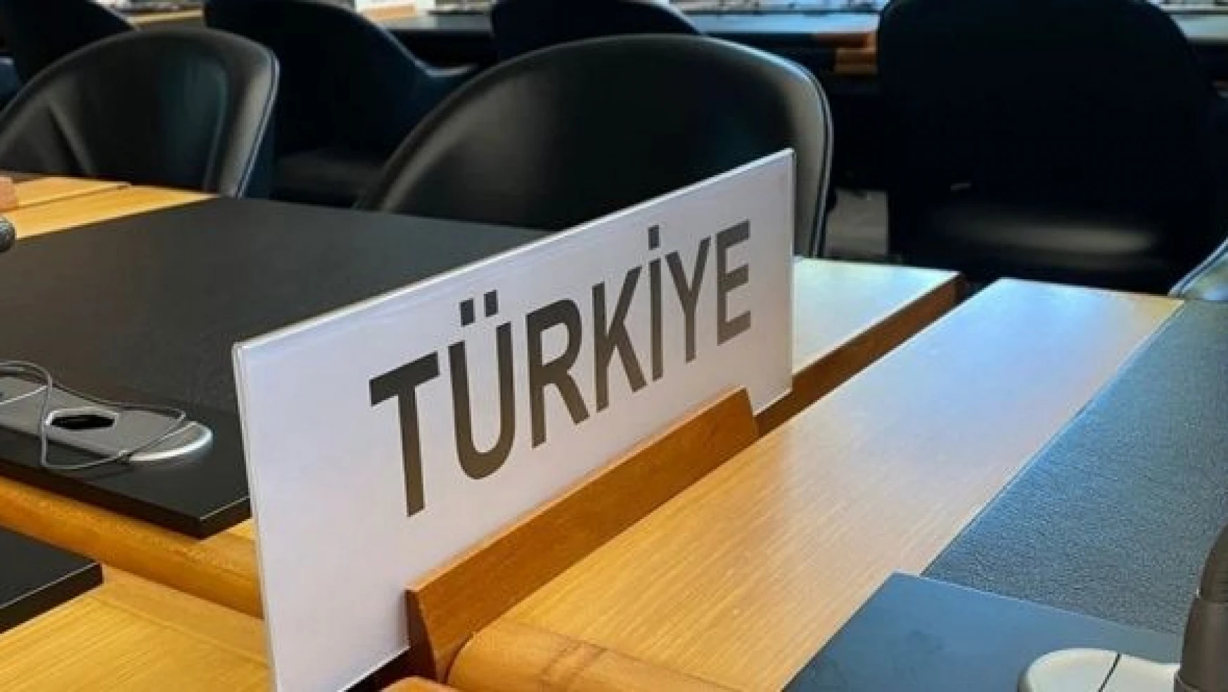 Dünya Ticaret Örgütü artık 'Türkiye' diyor