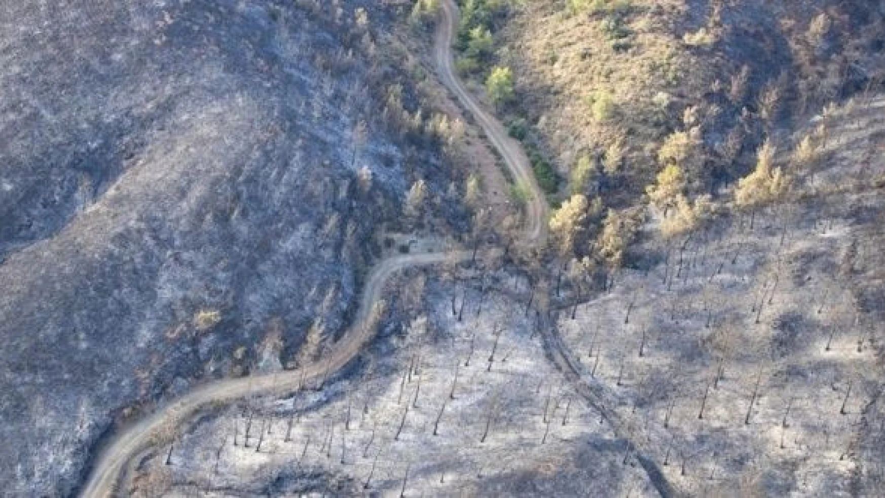Marmaris'teki orman yangınının şüphelisi, adliyeye sevk edildi