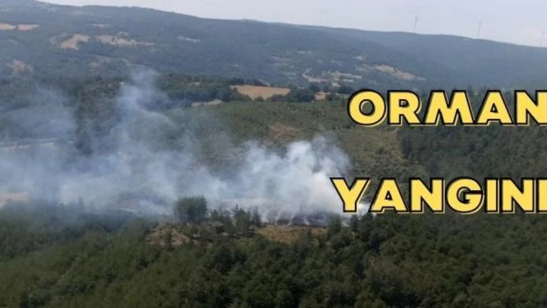 Bursa'da orman yangını!