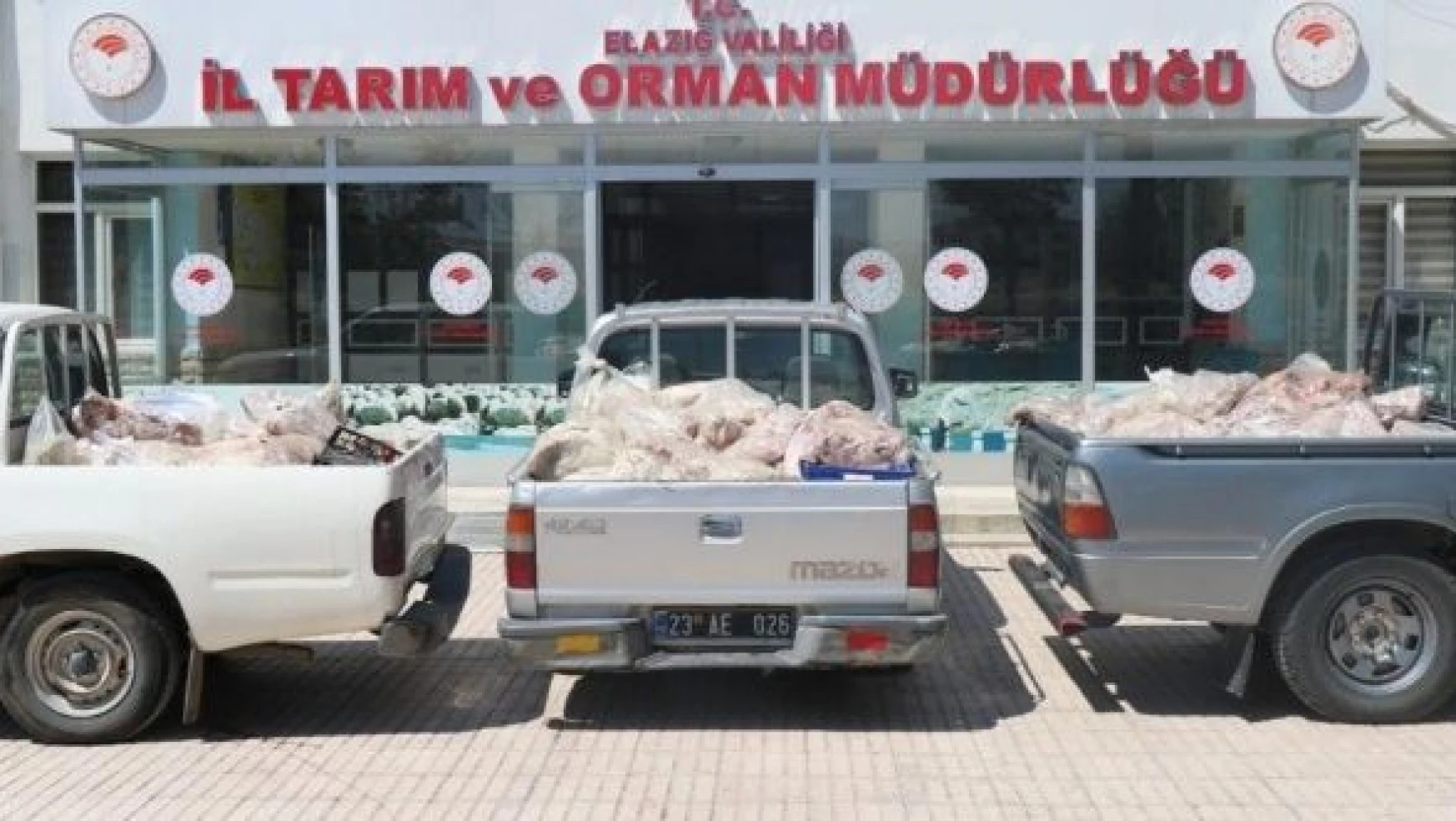 Elazığ'da yüzlerce kilo bozuk et ve sakatat ele geçirildi