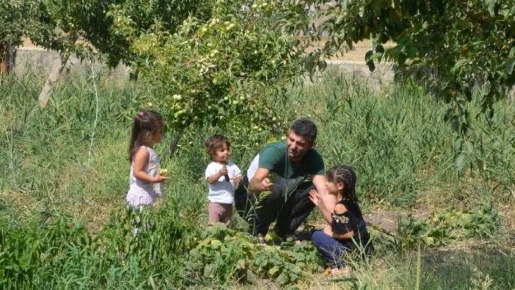 Muş'ta okul bahçesinde yetişen ürünler ihtiyaç sahiplerine ulaşıyor