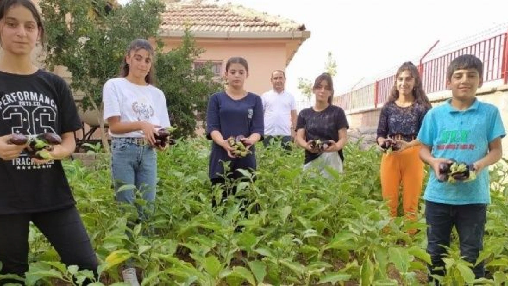 Silopi'de okul bahçesinde yetiştirilen ürünler ihtiyaç sahiplerine ulaştırılıyor