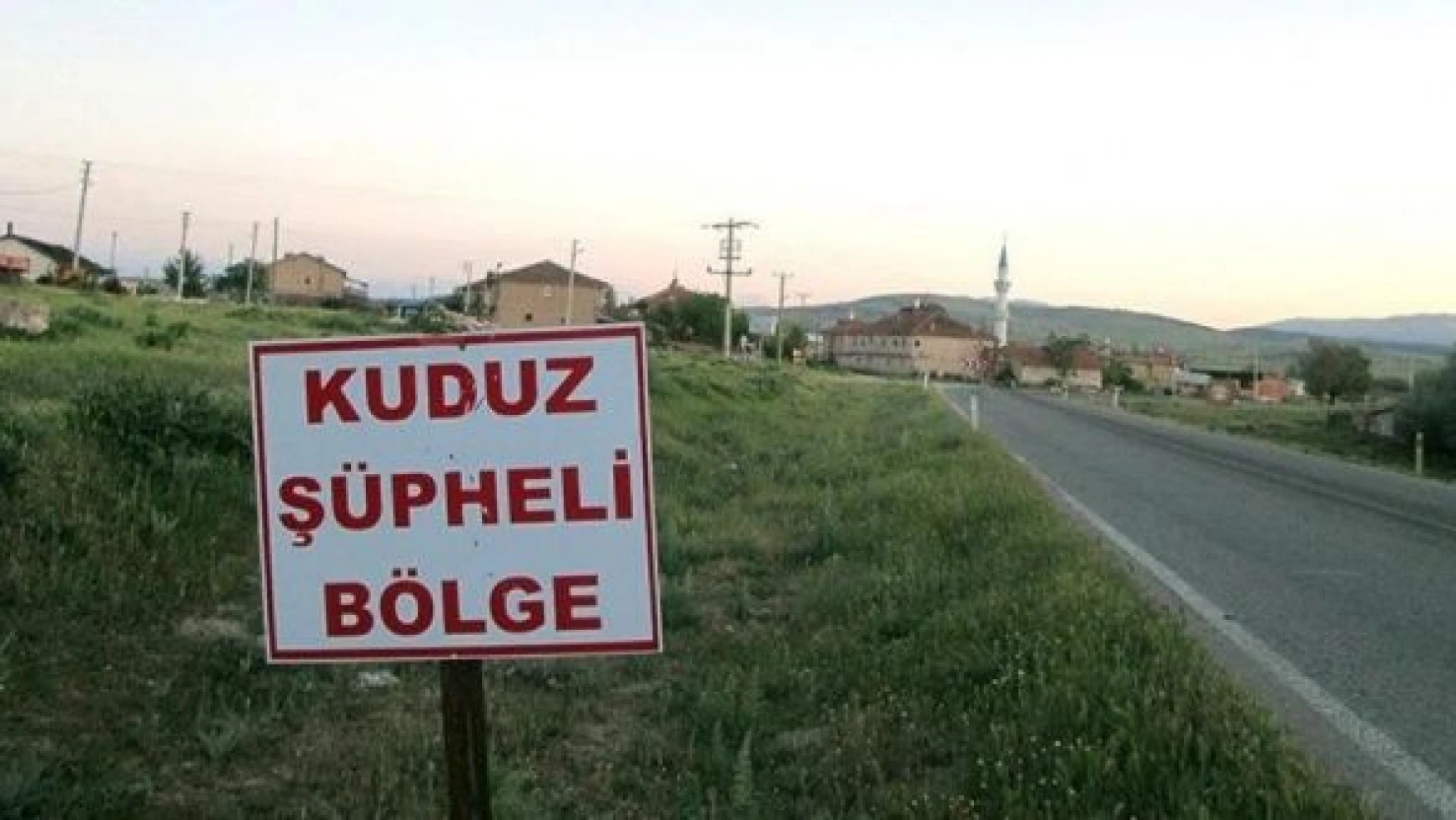 Tunceli'de kuduz karantinası!