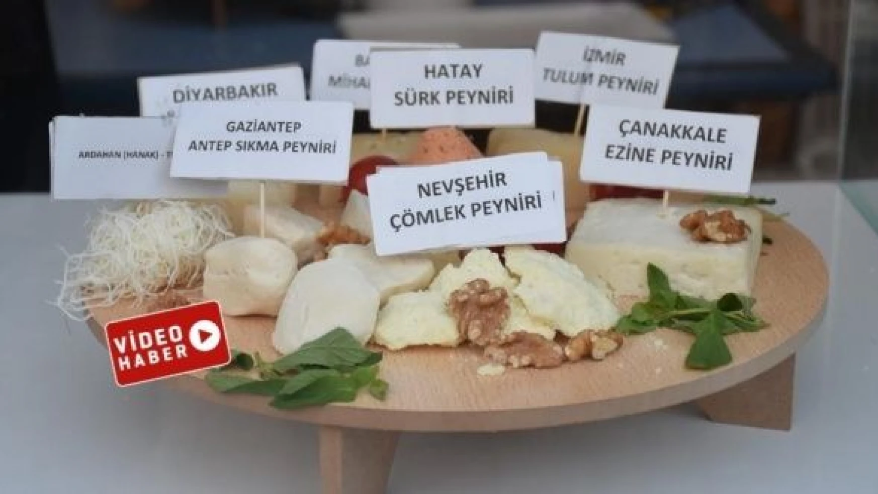 Türkiye'nin yöresel peynirleri Kars'ta