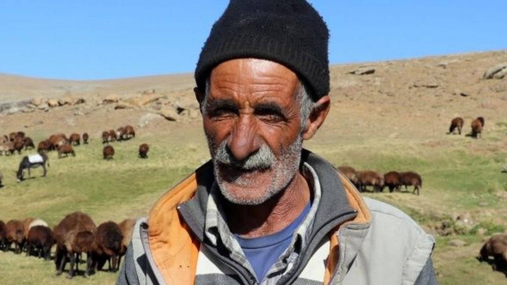Ağrılı vatandaş  40 yıldır çobanlık yapıyor