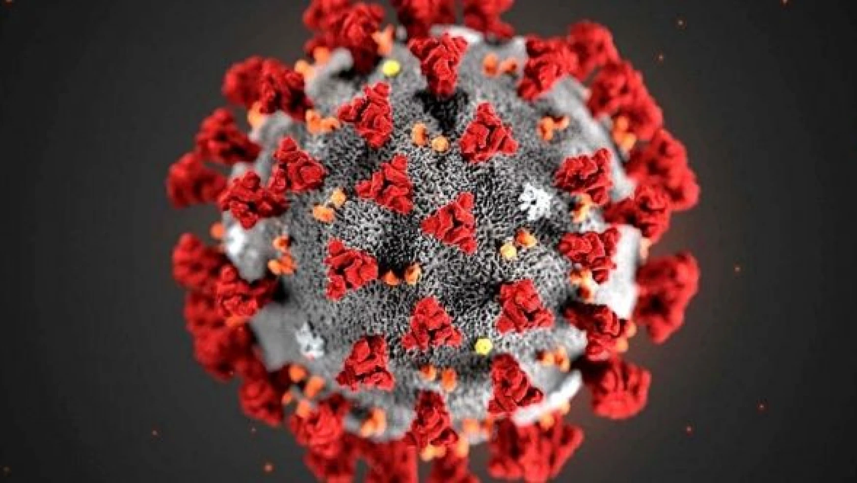 Bilim Kurulu üyesi: ŕ ay içinde dünyada yeni bir koronavirüs dalgası bekleniyor"