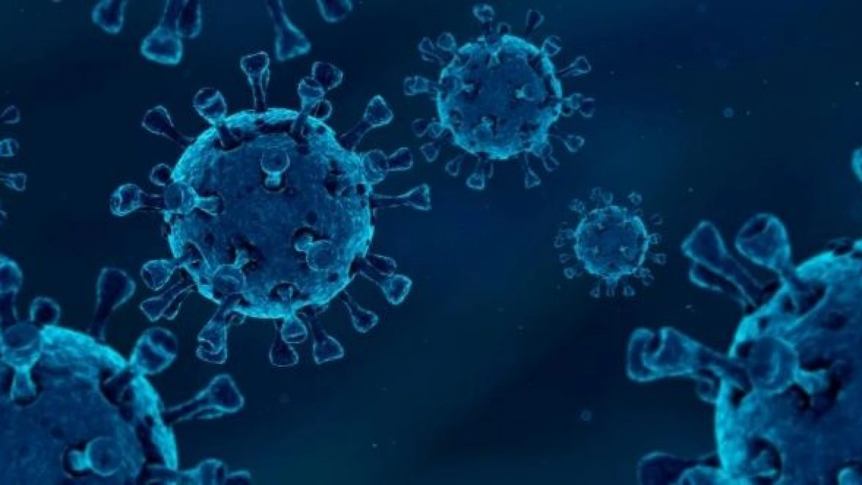 Çin'de yeni bir virüs tespit edildi