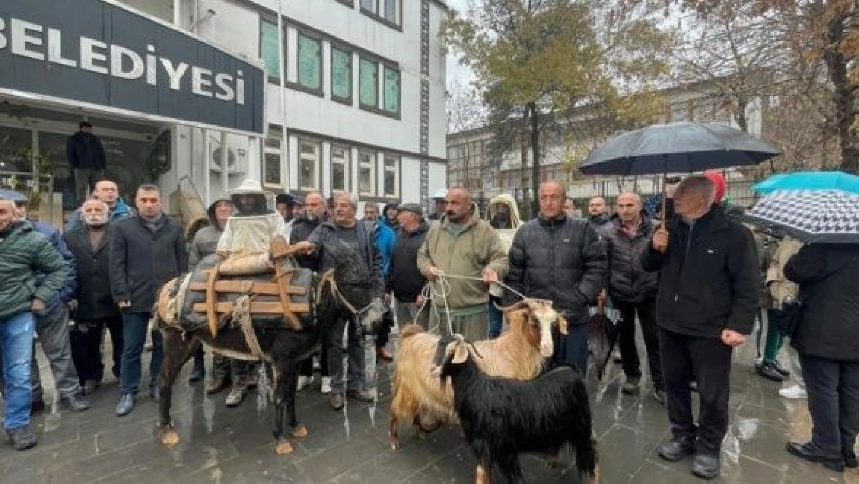 Tunceli'de 'keçi, arı ve eşekli' protesto!