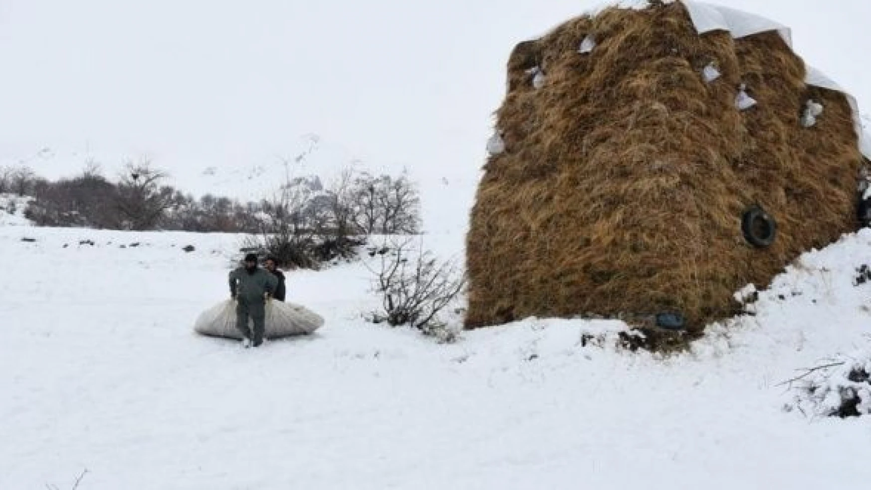 Hakkari'deki besicilerin kış şartlarıyla mücadelesi başladı
