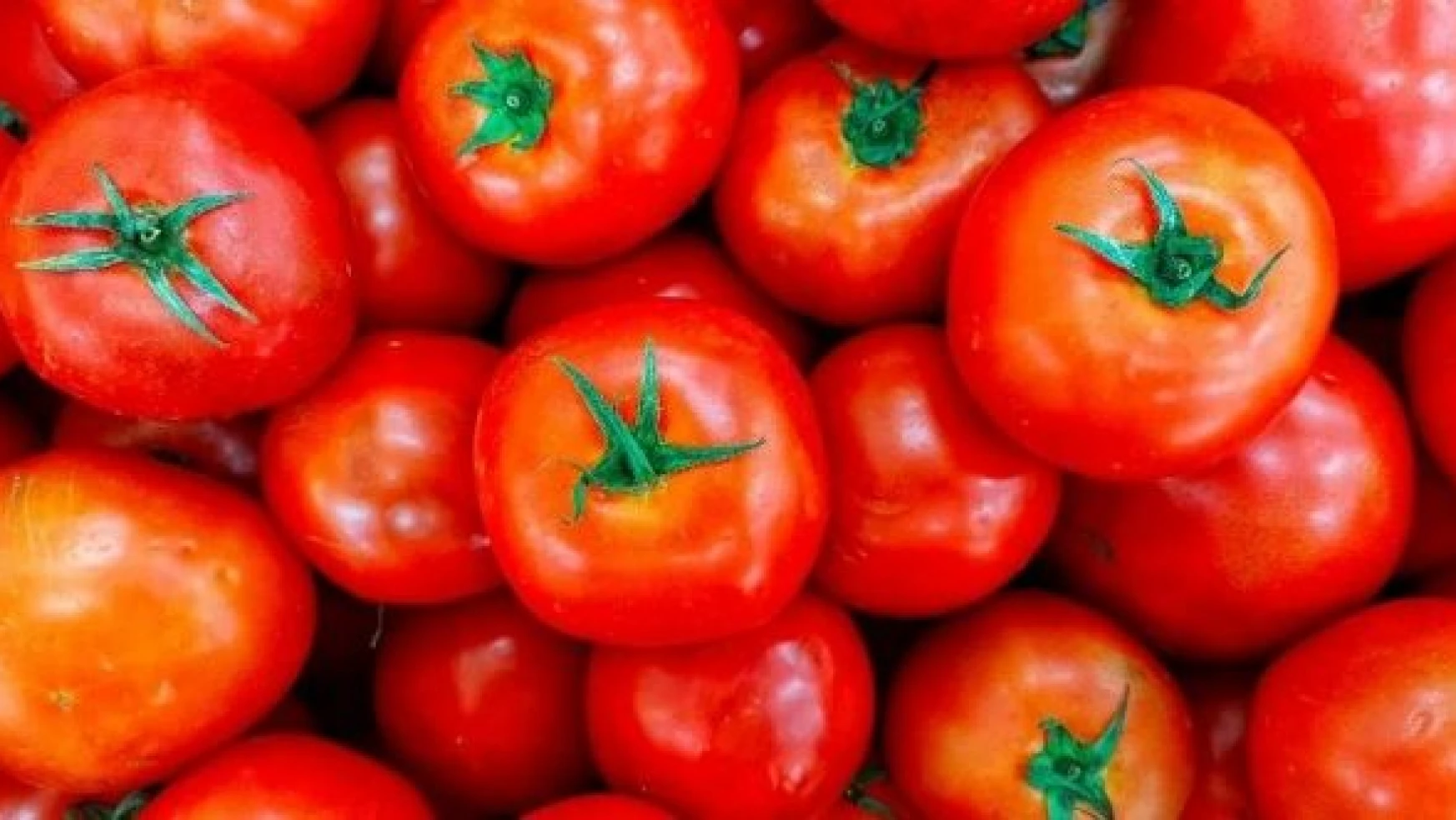 Kasım'da domates rekor kırdı