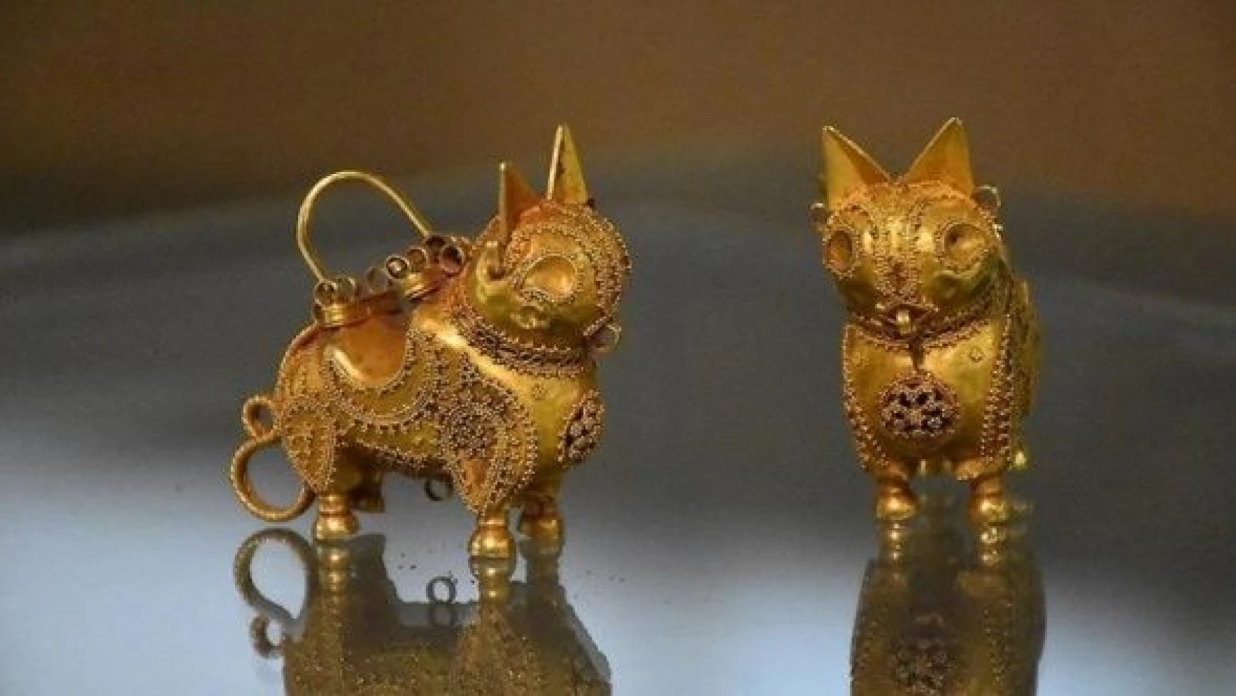 Orta Çağ'dan kalma altın 'vaşak küpeler' Kars'ta görücüye çıkıyor