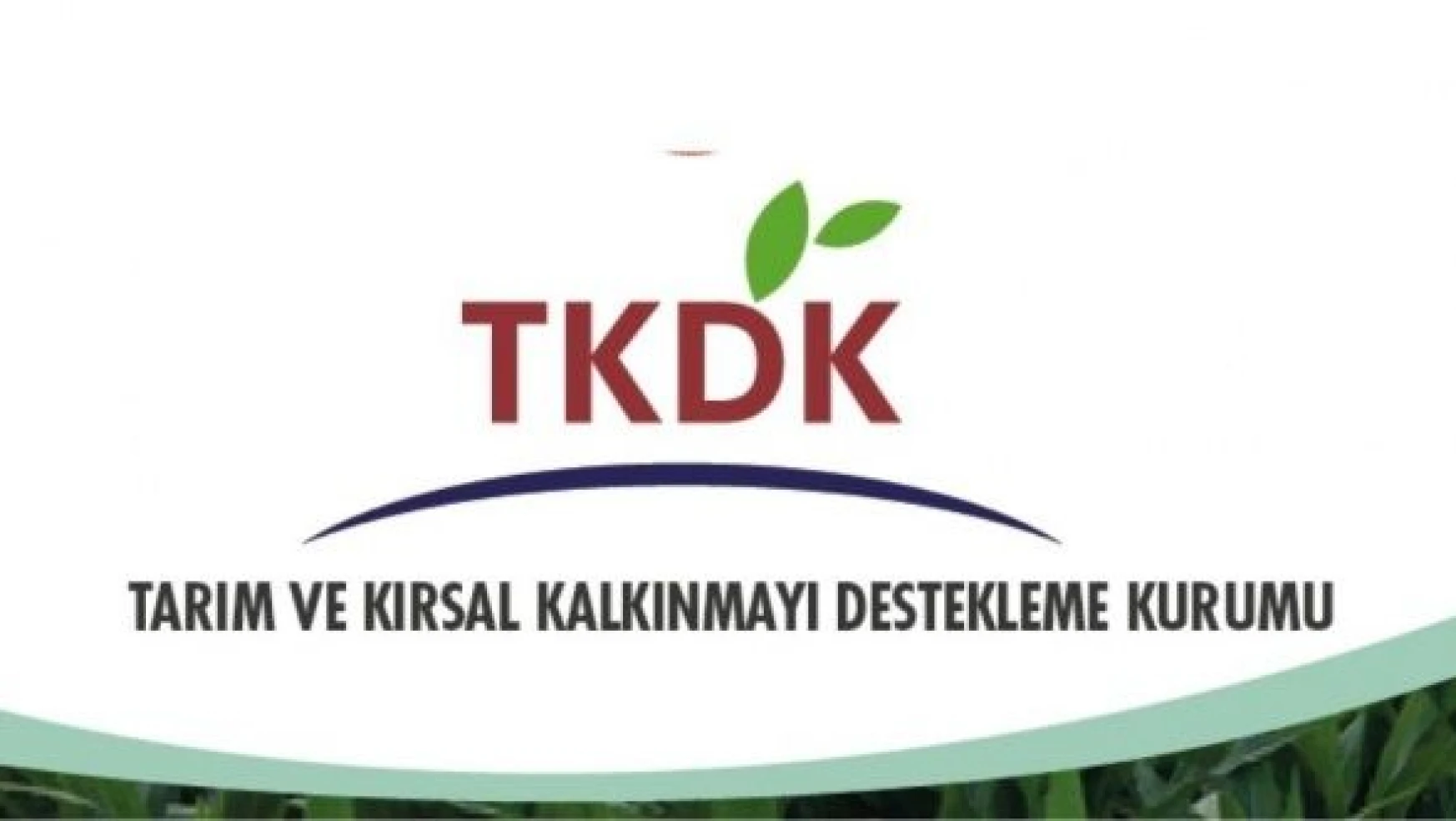 TKDK'ye sözleşmeli personel alınacak