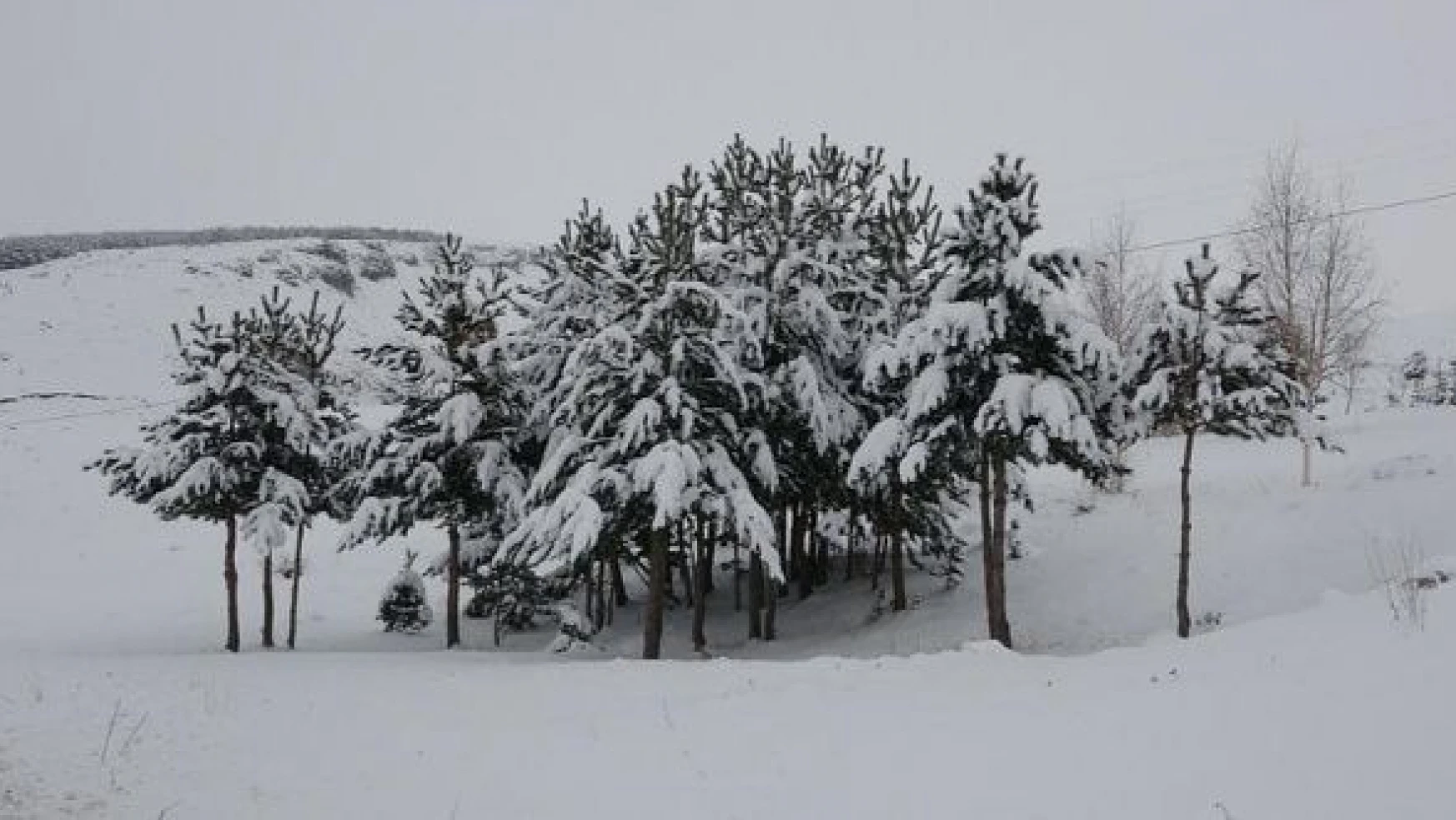 Ardahan'da dondurucu soğuklar yerini kar yağışına bıraktı