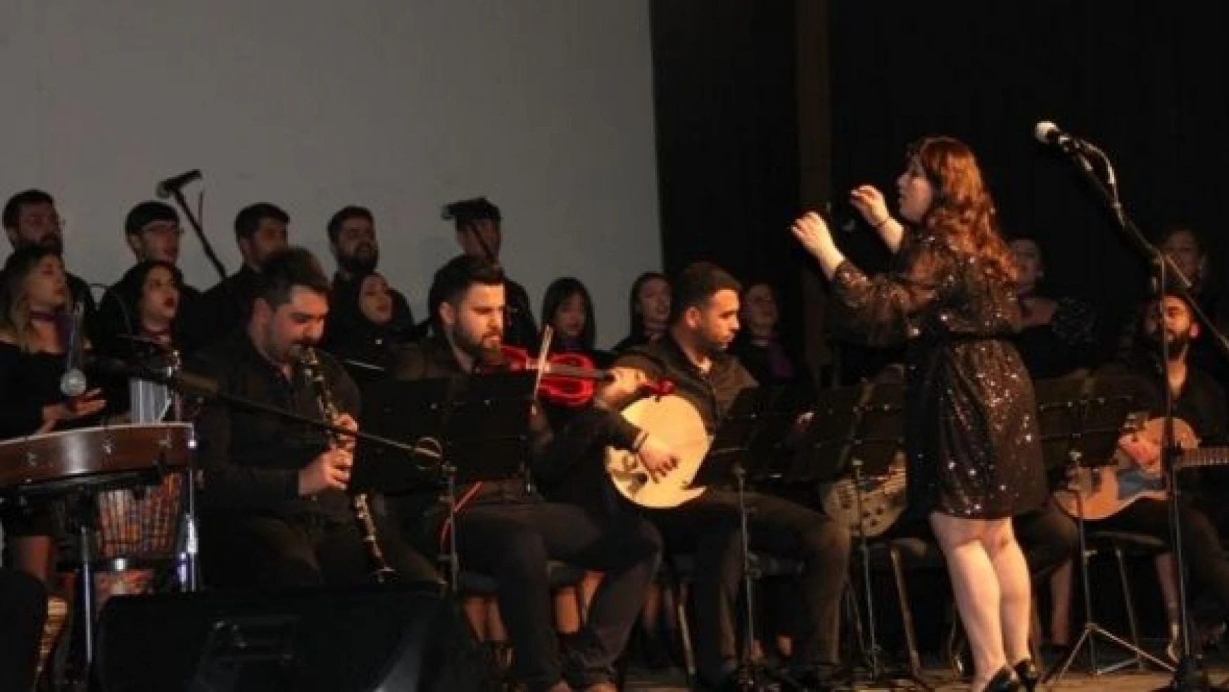 Kars'ta sanat müziği dinletisi düzenlendi
