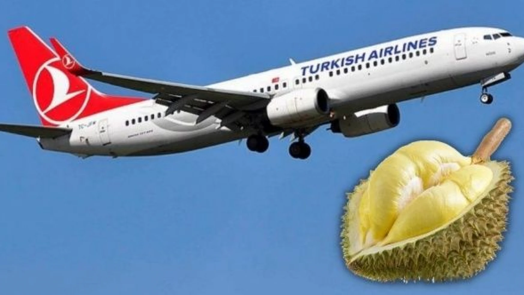 ''Durian'' meyvesi THY uçağını geri döndürdü