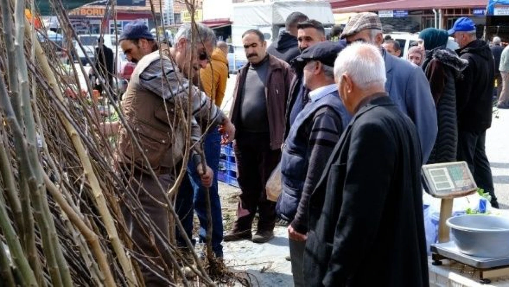 Bahar geldi: Erzincan'da fidan satışları başladı