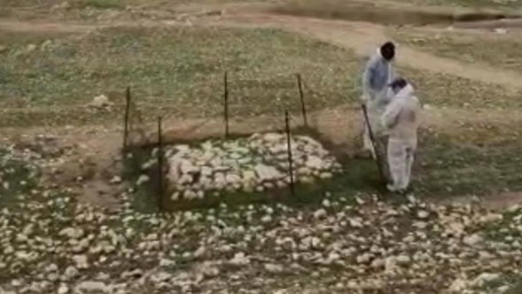 Musul'da Yezidilere ait toplu mezar bulundu