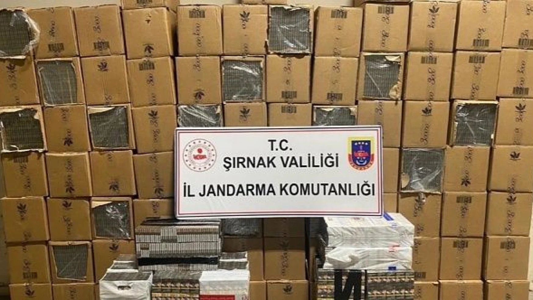 Silopi'de kaçakçılık operasyonu: 48 bin 900 paket sigara yakalandı